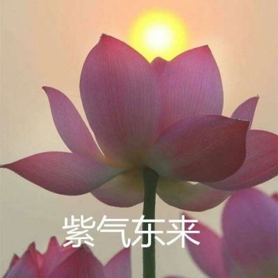 海南光一三国三国下载